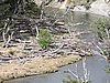 DSCN7787.JPG