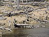 DSCN7788.JPG