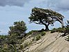 DSCN7789.JPG