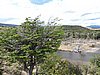 DSCN7790.JPG