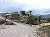 DSCN7791.JPG