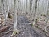 DSCN7792.JPG