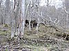 DSCN7794.JPG