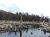 DSCN7795.JPG