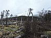 DSCN7796.JPG