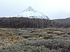 DSCN7799.JPG