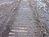 DSCN7801.JPG