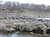 DSCN7802.JPG