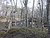 DSCN7805.JPG