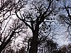 DSCN7806.JPG