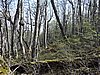 DSCN7807.JPG