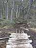 DSCN7809.JPG