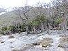 DSCN7814.JPG