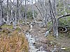 DSCN7816.JPG