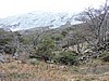 DSCN7819.JPG