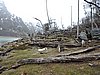DSCN7821.JPG