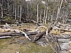 DSCN7824.JPG