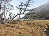DSCN7826.JPG