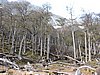 DSCN7827.JPG