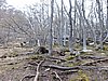 DSCN7832.JPG