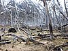 DSCN7833.JPG