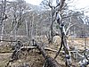 DSCN7834.JPG