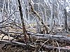 DSCN7836.JPG