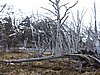 DSCN7837.JPG