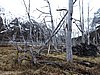 DSCN7838.JPG