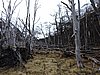 DSCN7840.JPG