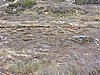 DSCN7847.JPG