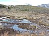 DSCN7849.JPG