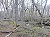 DSCN7855.JPG