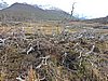 DSCN7857.JPG