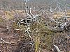 DSCN7858.JPG
