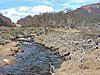 DSCN7864.JPG