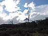 DSCN7865.JPG