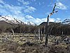 DSCN7868.JPG