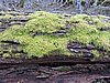 DSCN7870.JPG