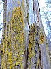 DSCN7871.JPG