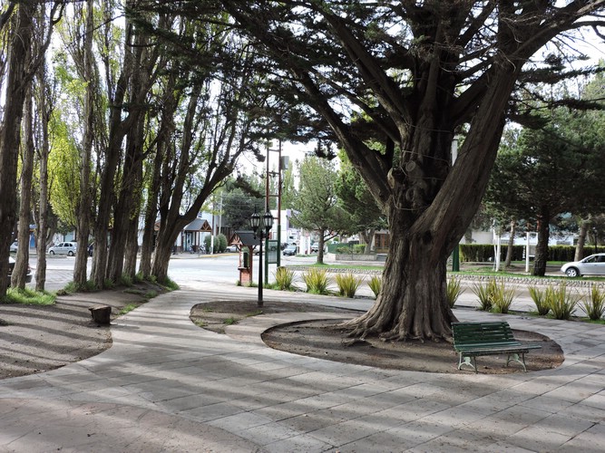 DSCN8239.JPG