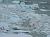 DSCN8076.JPG
