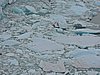 DSCN8088.JPG