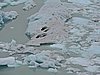 DSCN8096.JPG