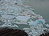 DSCN8099.JPG