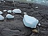 DSCN8103.JPG