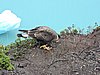 DSCN8109.JPG