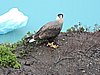DSCN8110.JPG