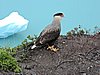 DSCN8112.JPG