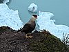 DSCN8117.JPG
